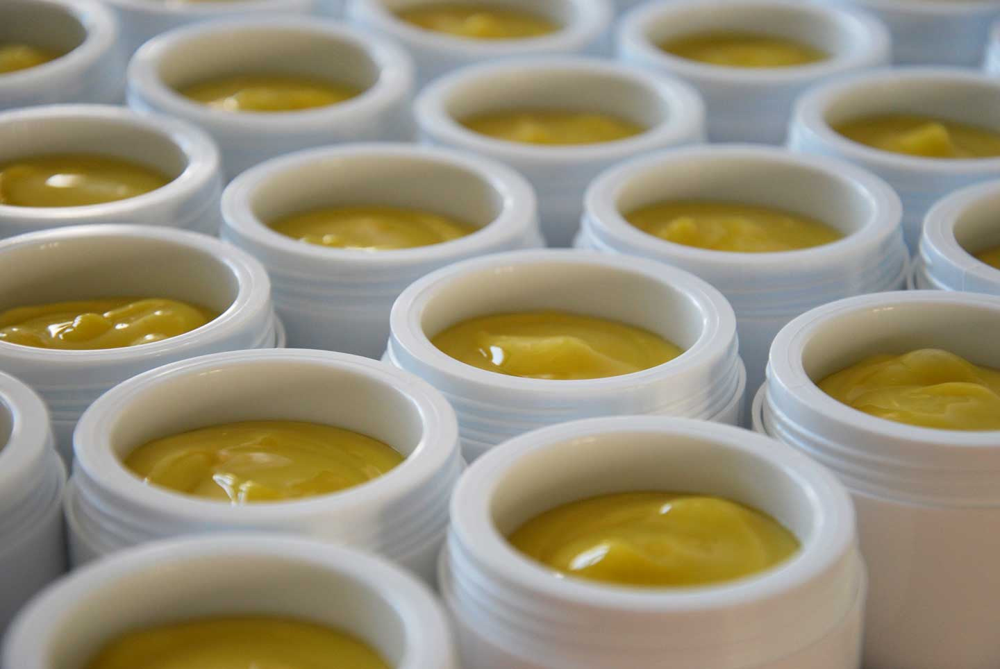 Procés d'elaboració de la Crema natural Aulet